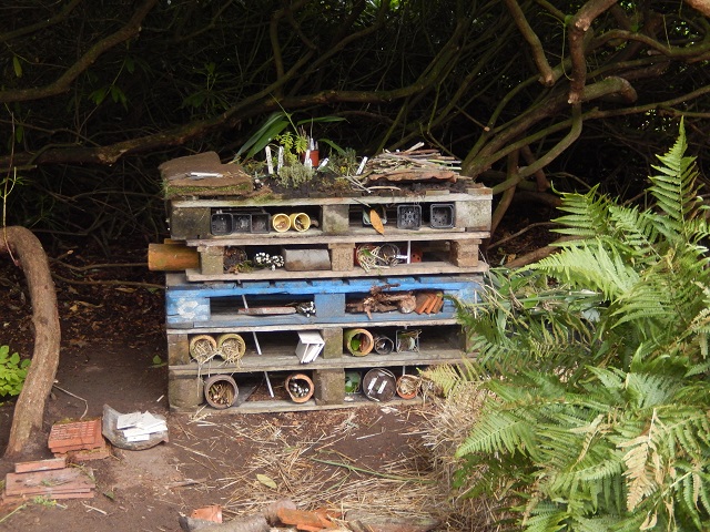 Bug-hotel-resized